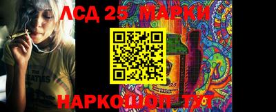 apvp Моздок
