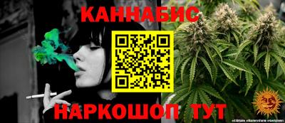 apvp Моздок