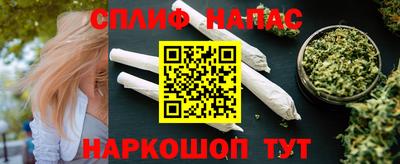 apvp Моздок