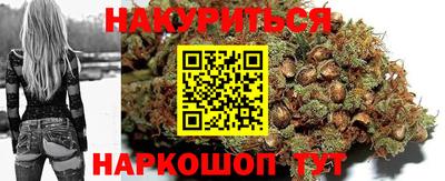 apvp Моздок