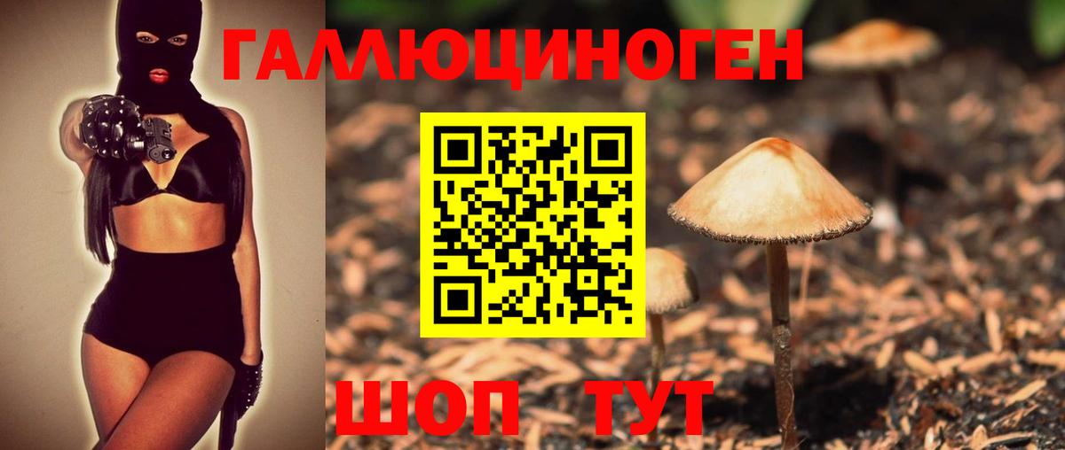 Галлюциногенные грибы Magic Shrooms  Вход с VPN  Строитель 
