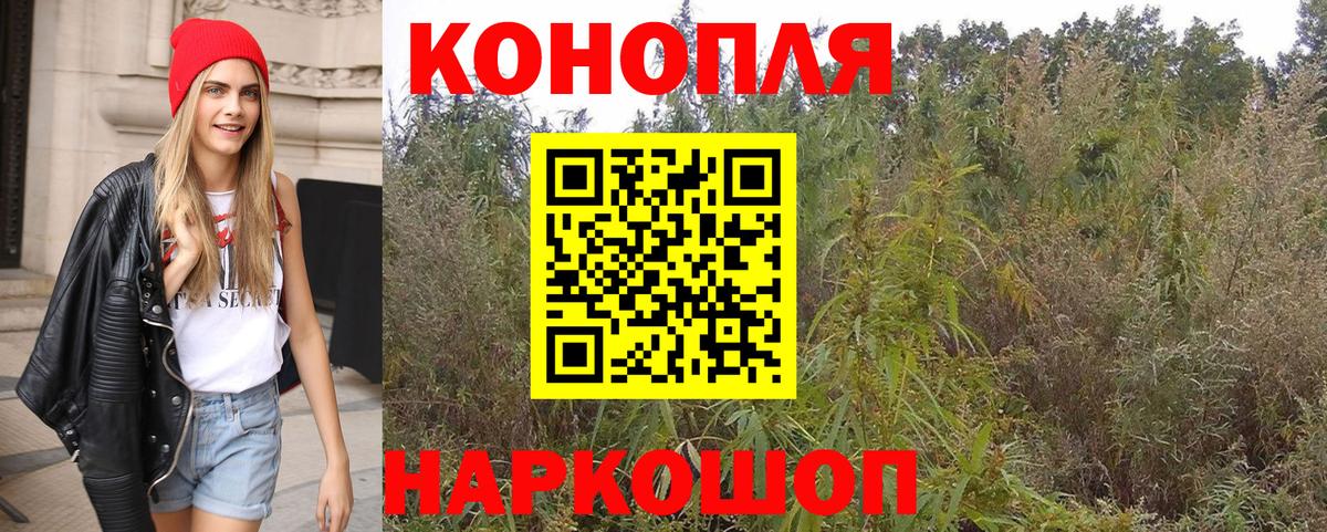 Строитель  Каннабис THC 21%  Бошки марихуана планчик  Конопля ГИДРОПОН  Бошки марихуана марихуана  Вход с VPN 